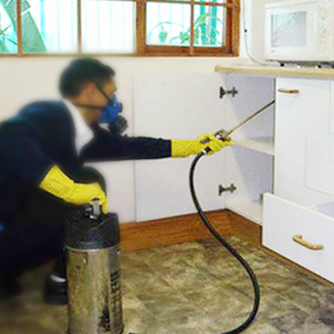 Pest-Control-in-Society